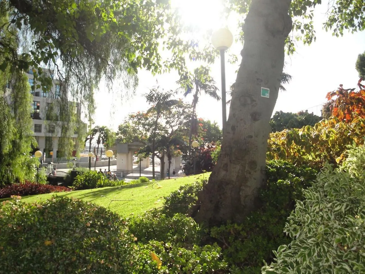 Violeta House Vila Funchal  Casa de Férias